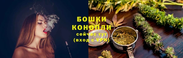 твердый Новозыбков