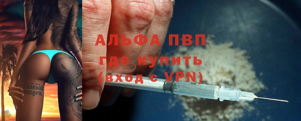 твердый Новозыбков