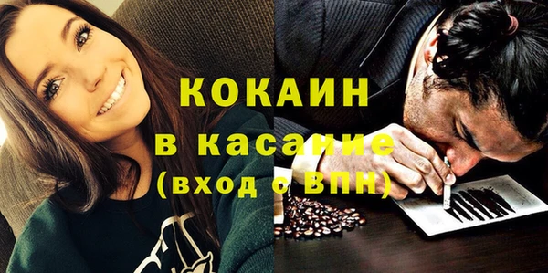 твердый Новозыбков