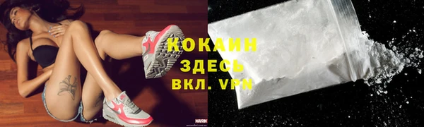 твердый Новозыбков