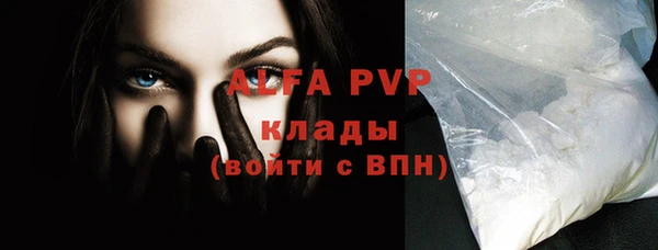 твердый Новозыбков