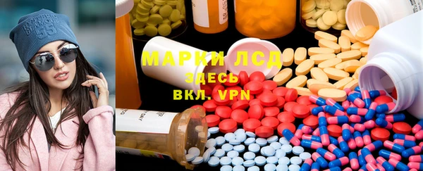 твердый Новозыбков