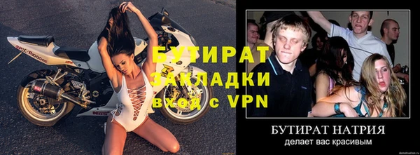 твердый Новозыбков