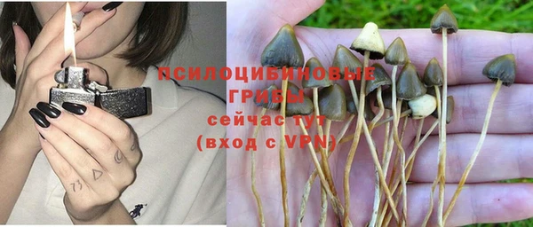 дистиллят марихуана Новокубанск