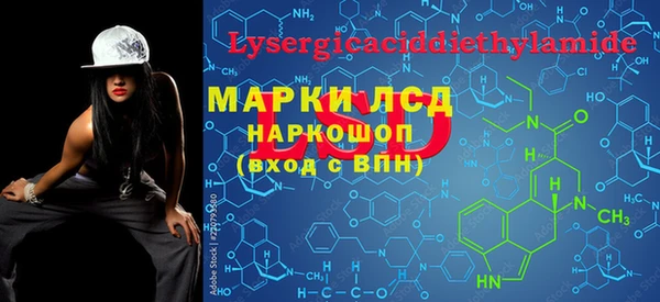 твердый Новозыбков