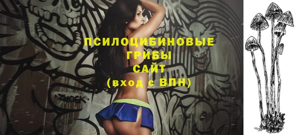 спайс Новодвинск