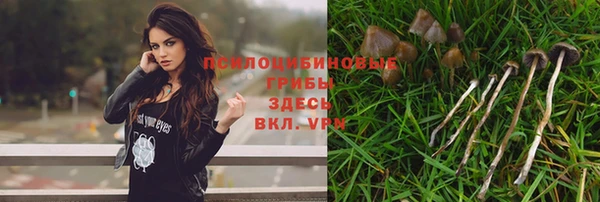 гашик Новый Уренгой