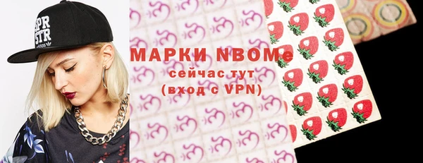 твердый Новозыбков