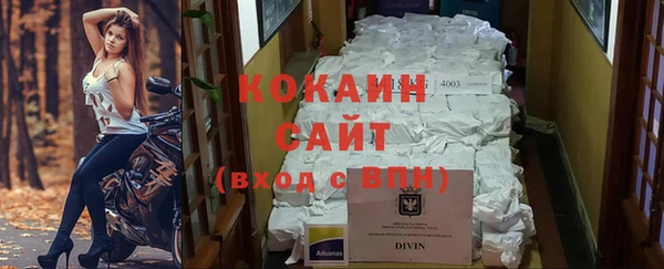 твердый Новозыбков